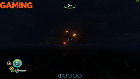 Fortnite a Subnautica cz/sk Lyro_d6