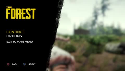THE FOREST
