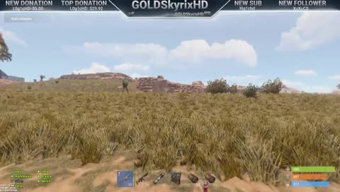 RUST zarg SV OFICIAL #165