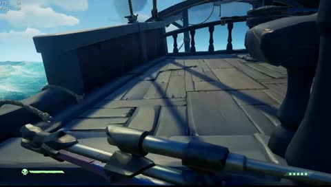 Dumb Pirate does dumb things.