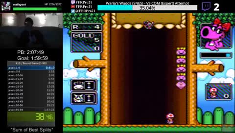 SNES - Wario's Woods Runs