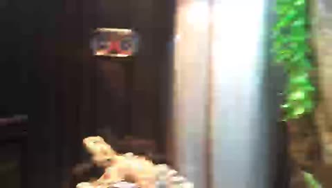 s_ixxx’s mobile stream