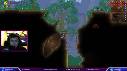 Terraria giving away 4 keys (hardcore speedrun)