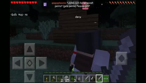 Pro Minecraft Player | #7 Zombie Slayer | #28 Fastest builder