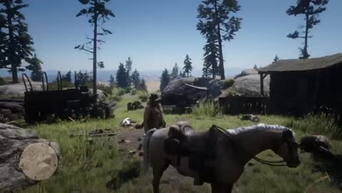 Red Dead Redemption 2  Story