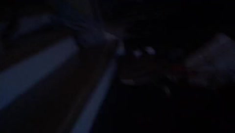 Elitor__ setup reveal