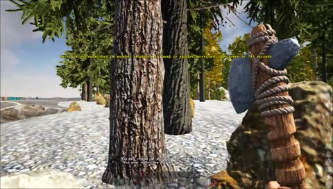 Exploration / Building / Learning the game