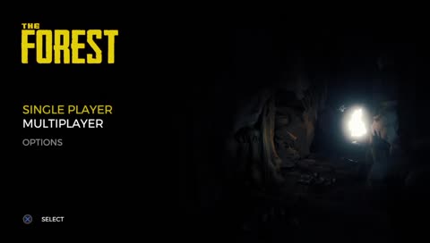The Forest! Ich kotte mich ein