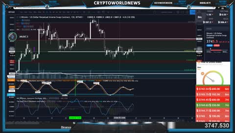 Learning about Bitcoin and Watching the Markets!