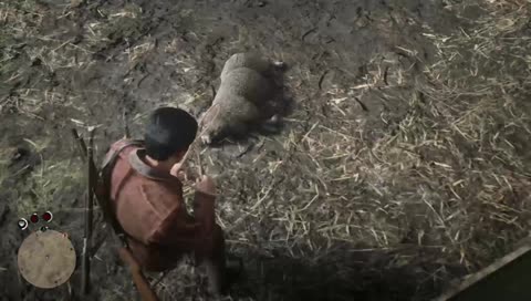 Gavin getting frisky with sheep