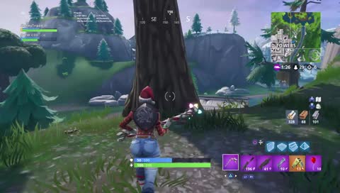 Fortnite lowest winning player