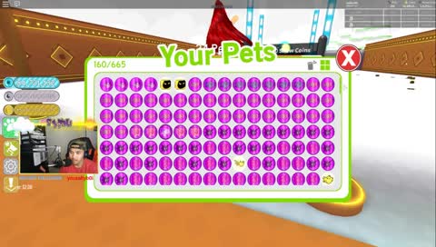 I AM BACK! PET SIM UPDATE 14 GRIND! | #RBS