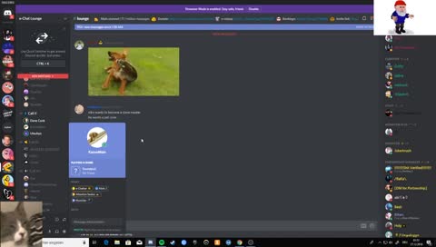 gnoming people on discord and shit