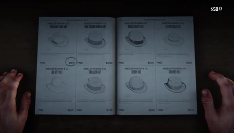 Red Dead Redemption 2: Where I Don't Know What I'm Doing