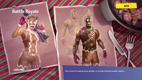 Fortnite  lots of wins