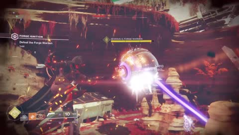 Afternoon Lovelies <3