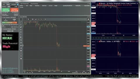 BitMEX Profitable Trading *LIMITED TIME*