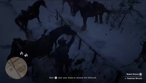 Lets Play: Red Dead Redemption 2 (Stream 1)