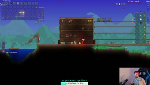 вечерняя Terraria с чатом