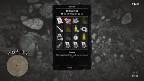 RED DEAD REDEMPTION II - Story mode [spoiler alert] 