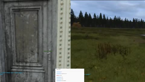 Split Screen в DayZ???