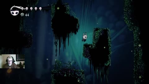Oh idk. Hollow Knight I guess #21