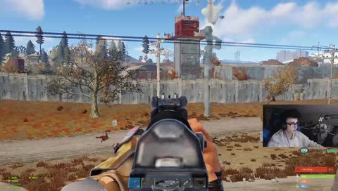 Rust w/ Friends  | PC | Pro player | @zerg