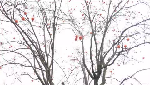 From South Korea with calming view. - The country of Pyungchang Olympic Games -  ( Old version collections. Channel "CalmingView" is new ! )