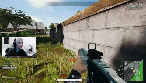 revuś rip