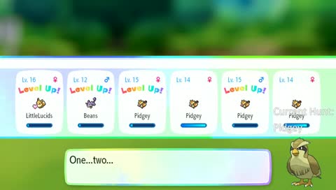 Shiny Pidgey Hunting!