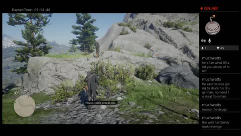 Husky in the wild west