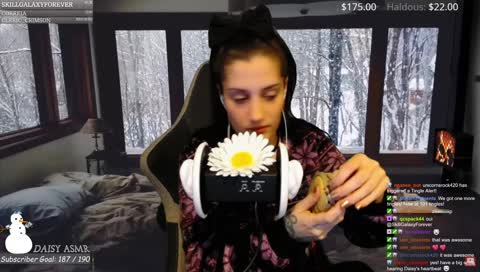 ✨Daisy ASMR ✨Relax & meditation ✨