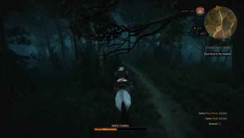 The Witcher 3
