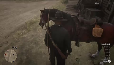 Playing RDR2 Online (!Command to see commands)(Playing with viewers)