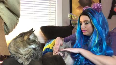 Fairy and Beasts say Friyay!!!!