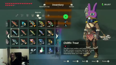 Hyrule Castle Bookcase Challenge!