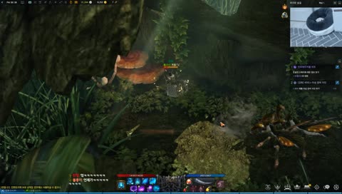 [개돌]444+ 디트 / 용크 도전기