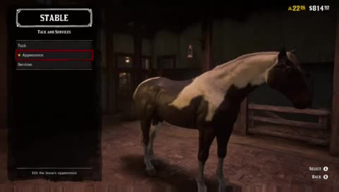 hunt/fish/kill/ repeat