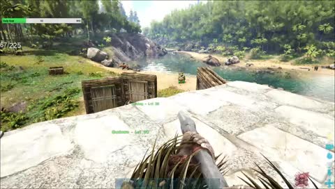 Playing ark with friends