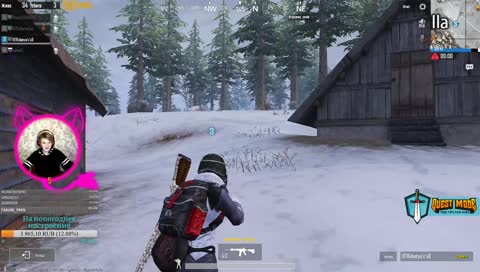 Cat рвётся в бой!