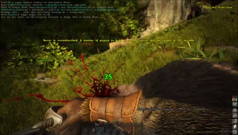 30 лвл за сутки! Строим корабль. лф игроков в команду