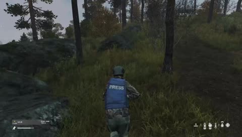 В поисках PvP | DayZ