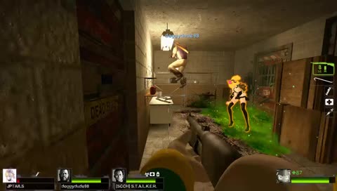 [English] L4D2 : The frogs are gay, the illuminati is real, RosieODonald is the pinnacle of human evolution.
