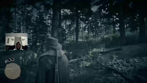 RDR2 online gameplay