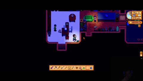 Stardew Sally