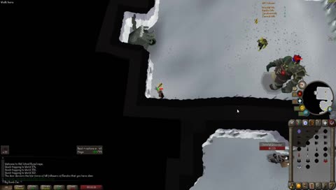 Bandos pet, super happy!