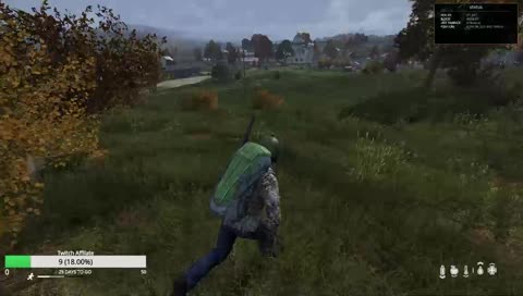 DAYZ PO RÁNKU