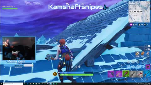 kam dies to a bot