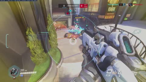 Z9HONG placements Pog