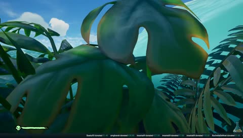 [FR/ENG] Une bonne et heureuse année à toutes et tous ! Alliance matinale pour commencer 2019 !